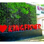 WhatsApp Image 2024-06-08 at 18.28.30 (2)