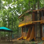 Kanha Meadows Retreat 2