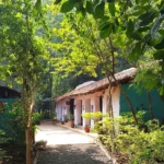 The Bagh - A Forest Retreat 2