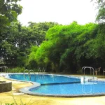 kanha jungle resort 2