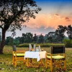 RohanDPhotography2017