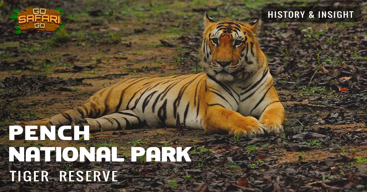 Pench Tiger Reserve History fetured Image