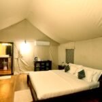naturegroove4