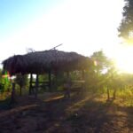 tea point